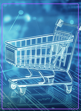 E-ticarət və Rəqəmsal Mağaza İnkişafı